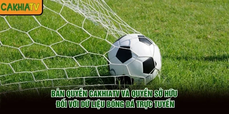 Bản quyền CakhiaTV và quyền sở hữu đối với dữ liệu bóng đá trực tuyến