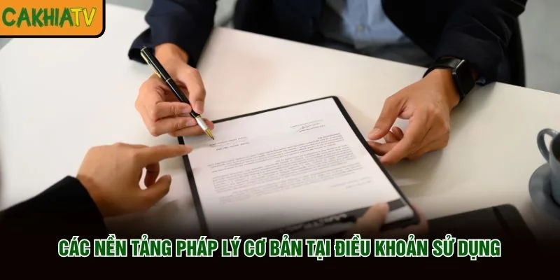 Các nền tảng pháp lý cơ bản tại điều khoản sử dụng