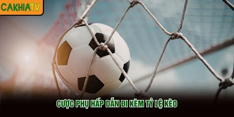 Cược phụ hấp dẫn đi kèm tỷ lệ kèo