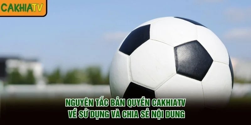 Nguyên tắc bản quyền CakhiaTV về sử dụng và chia sẻ nội dung