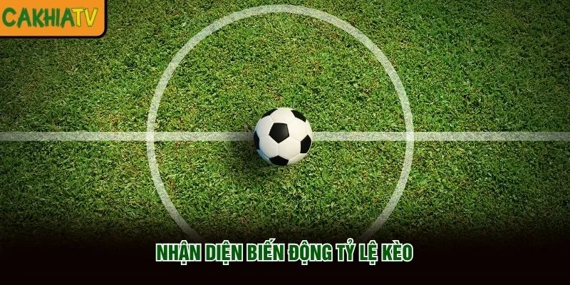 Nhận diện biến động tỷ lệ kèo